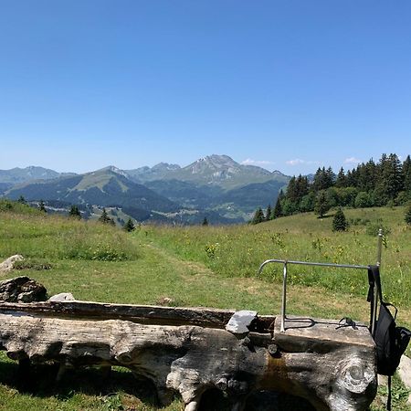 Chalet Yuki Morzine Exterior photo